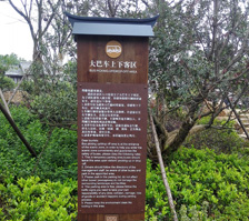 东方盐湖城度假区